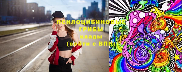 ешки Алексеевка
