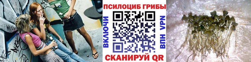 ОМГ ОМГ вход Октябрьск Галлюциногенные грибы ЛСД закладки